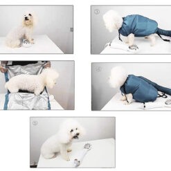 Kiire lemmiklooma kuivatustarvik – Soodukas.Com Kiire lemmiklooma kuivatustarvik Soodukas.Com