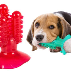 Koera hambahooldusmänguasi kaktuse kujul Soodukas.Com