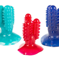 Koera hambahooldusmänguasi kaktuse kujul Soodukas.Com