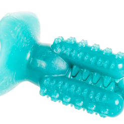 Koera hambahooldusmänguasi kaktuse kujul Soodukas.Com