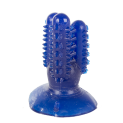 Koera hambahooldusmänguasi kaktuse kujul Soodukas.Com