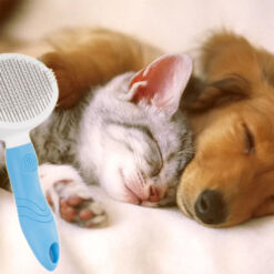 Isepuhastuv lemmiklooma karvahari Soodukas.Com