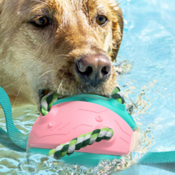 Lendav koera mänguasja ketas – Soodukas.Com Lendav koera mänguasja ketas Soodukas.Com