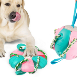 Lendav koera mänguasja ketas – Soodukas.Com Lendav koera mänguasja ketas Soodukas.Com