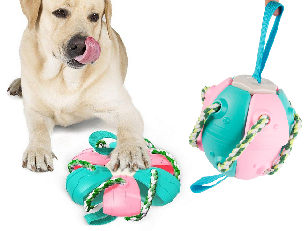 Lendav koera mänguasja ketas – Soodukas.Com Lendav koera mänguasja ketas - Image 9
