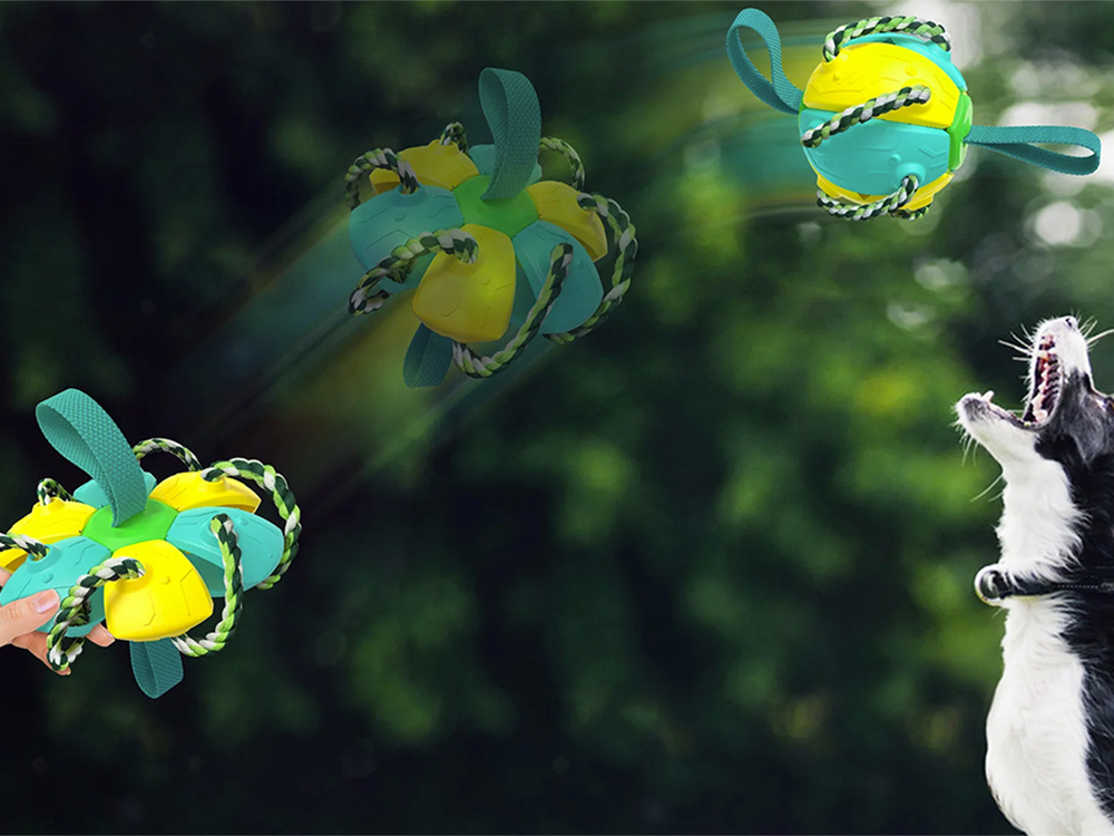 Lendav koera mänguasja ketas – Soodukas.Com Lendav koera mänguasja ketas - Image 10
