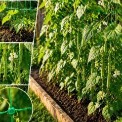 Ronitaimede tugivõrk 2×10m Soodukas.Com
