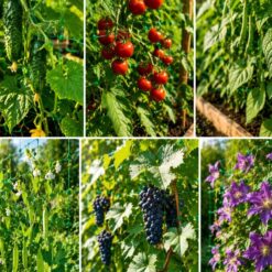 Ronitaimede tugivõrk 2×10m Soodukas.Com