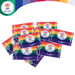 Holi värvipulber 10x100g Soodukas.Com