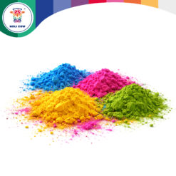 Holi värvipulber 10x100g Soodukas.Com