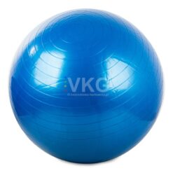 Mitmekülgne treeningpall ja pump Soodukas.Com